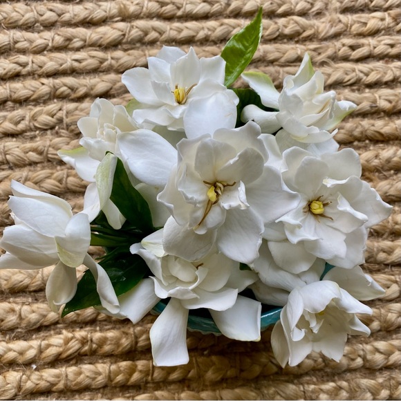 FOLLOW THE JONESES TO 400K! - Picture 10 of 16